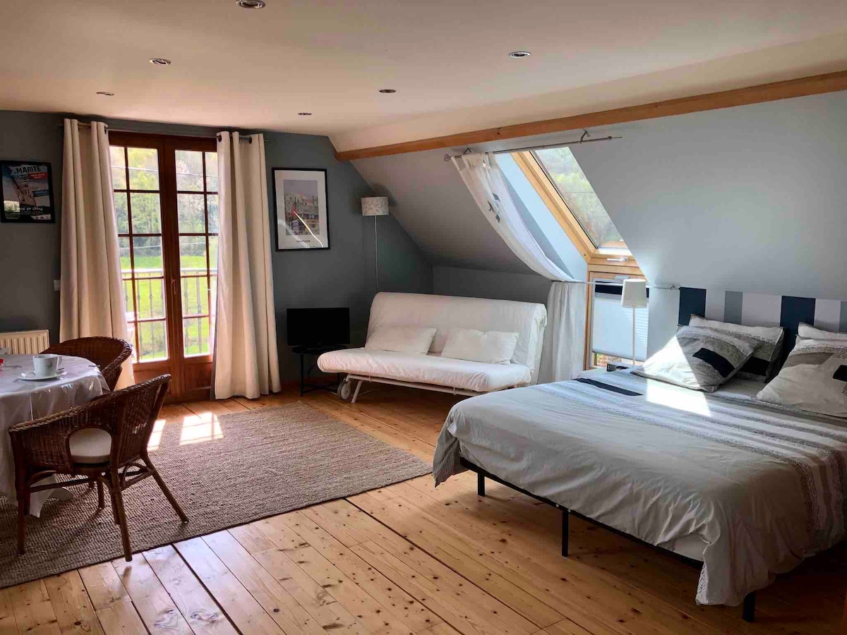 A spacious studio features a large bed and a sofa bed arranged near a window with natural light. A dining table sits to one side, with woven chairs surrounding it. Light wooden flooring complements the soft grey walls and decorative accents.