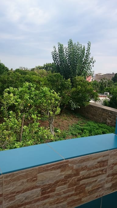 Vista del giardino dal terrazzo