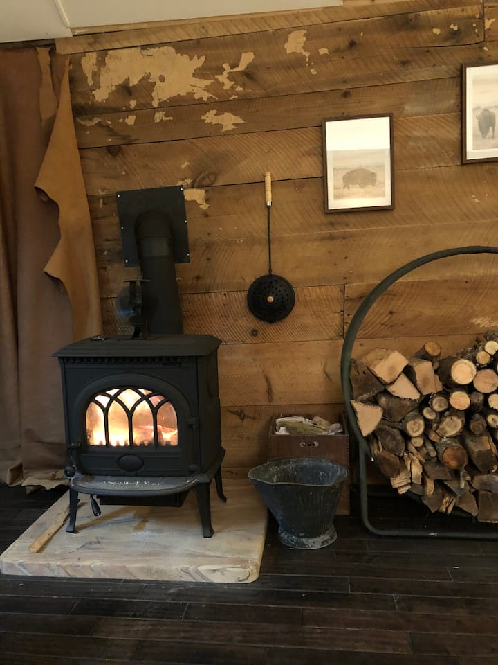 Jotul wood stove.  Secondary heat source now that a mini split has been installed.