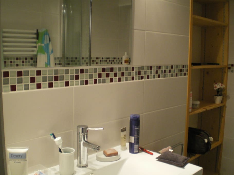 salle de bain J'y laisse un sèche cheveux des serviettes et des produits de soin de base.