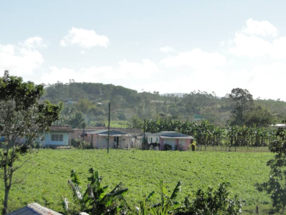 Vista desde el Balcon