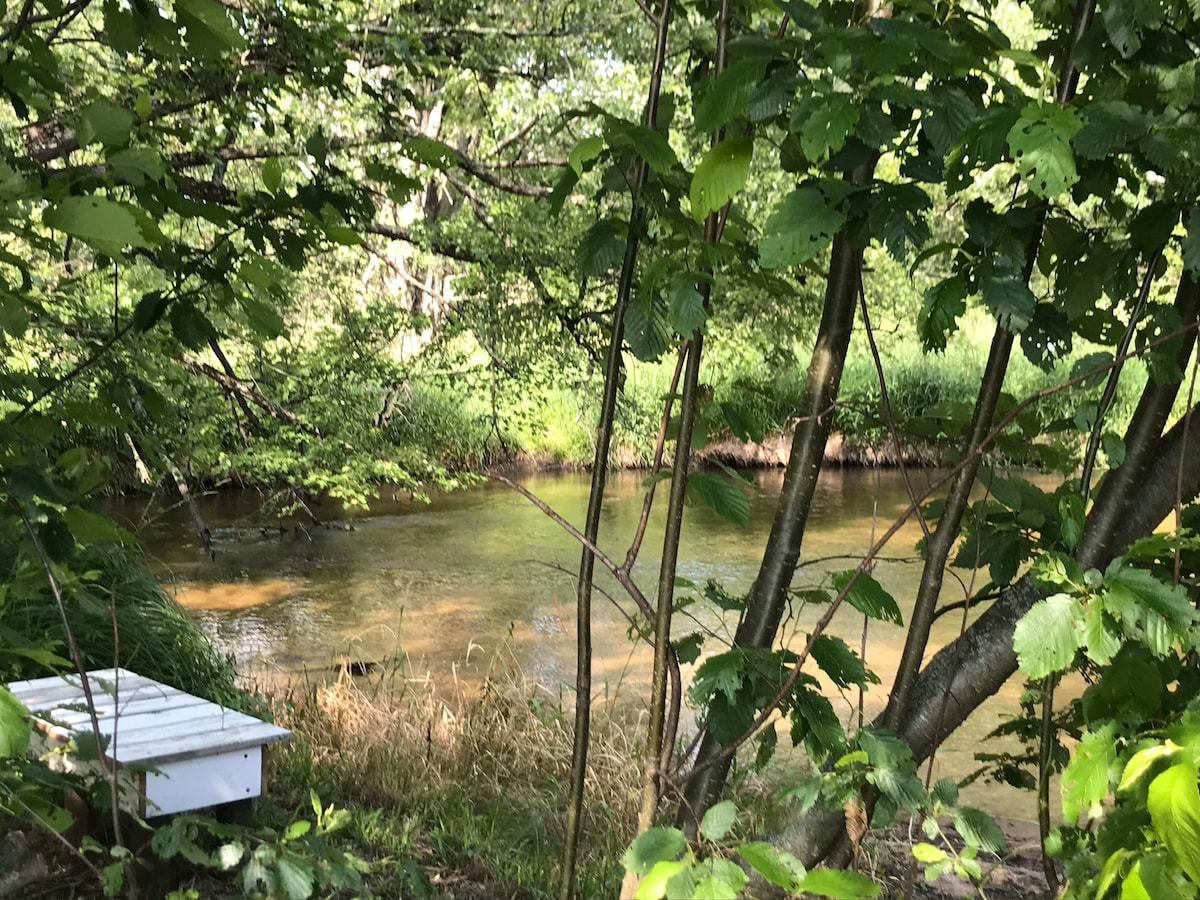 Private & spacious 2 bedroom suite with hot tub. Guest suites for