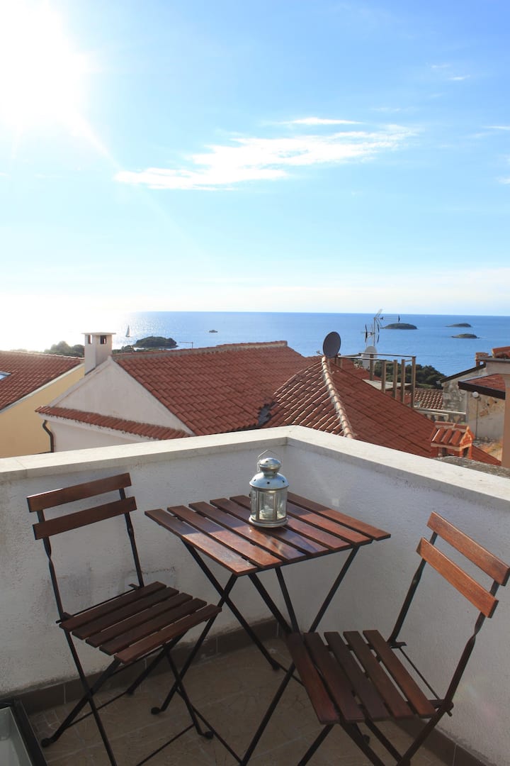 [OLD ADD] Rooftop studio in a house with sea view