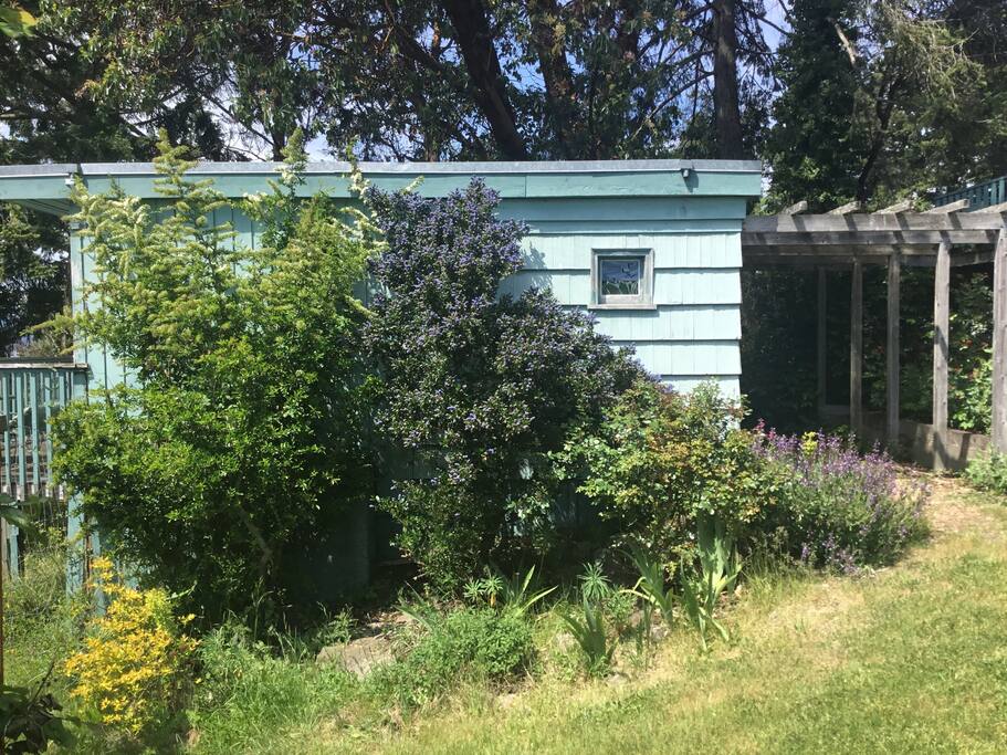 The approach to Lavender cottage