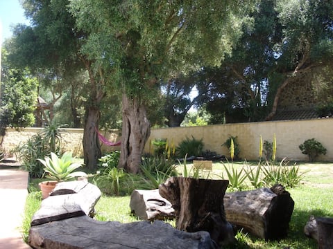 Top performing Airbnb: Independent rural apartment with large garden in Barbate