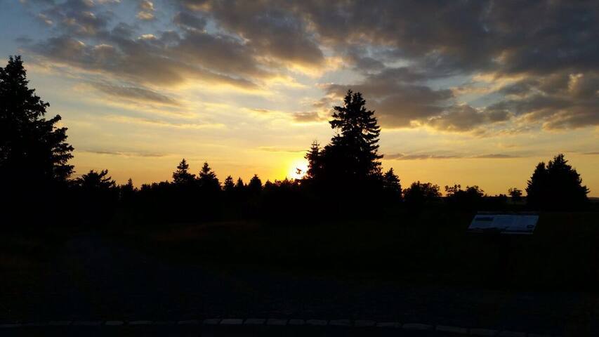 Vacation Rentals Homes Experiences Places Airbnb