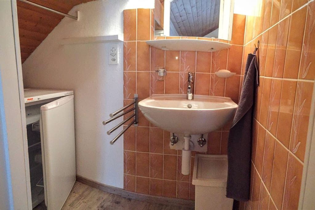 Un lavabo et un grand frigo privatif