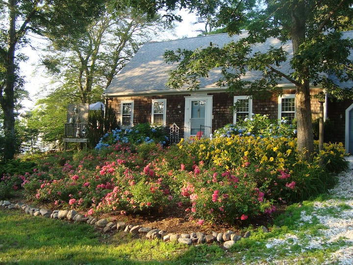 Cape Cod House Rentals Cabin and House Rentals Airbnb