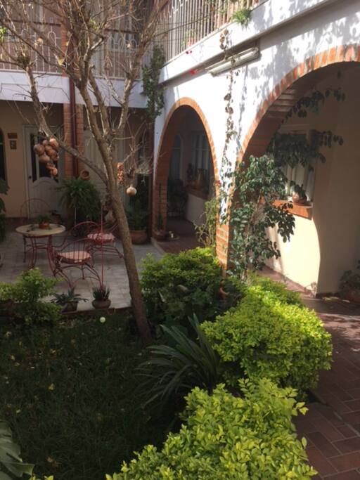 Jardin Interno de la Casa (Internal garden)