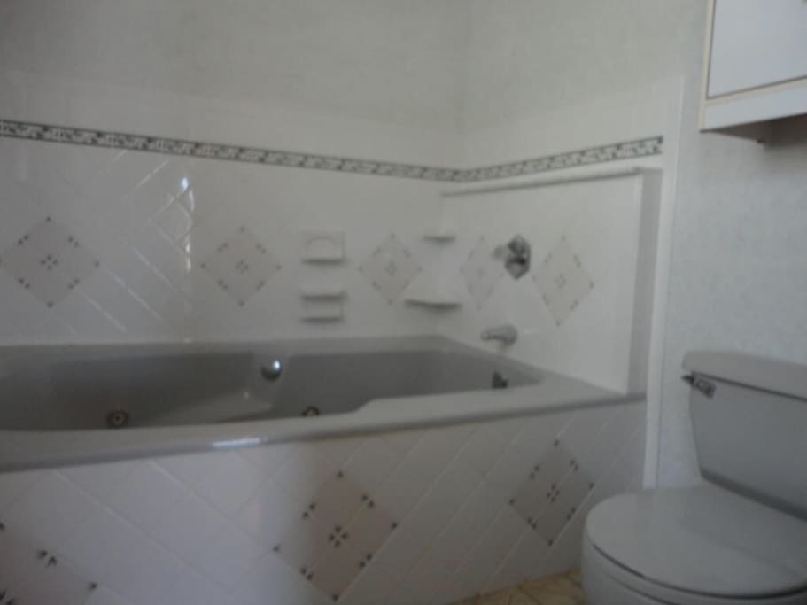 Jacuzzi in Master Bath