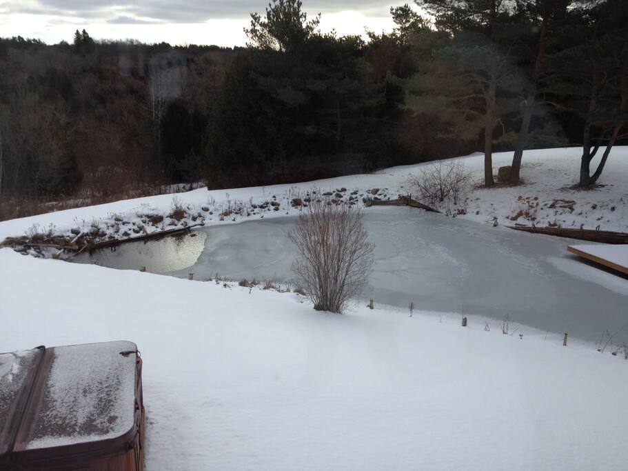 View from the kitchen- pond with dock, hot tub, and fire pit.