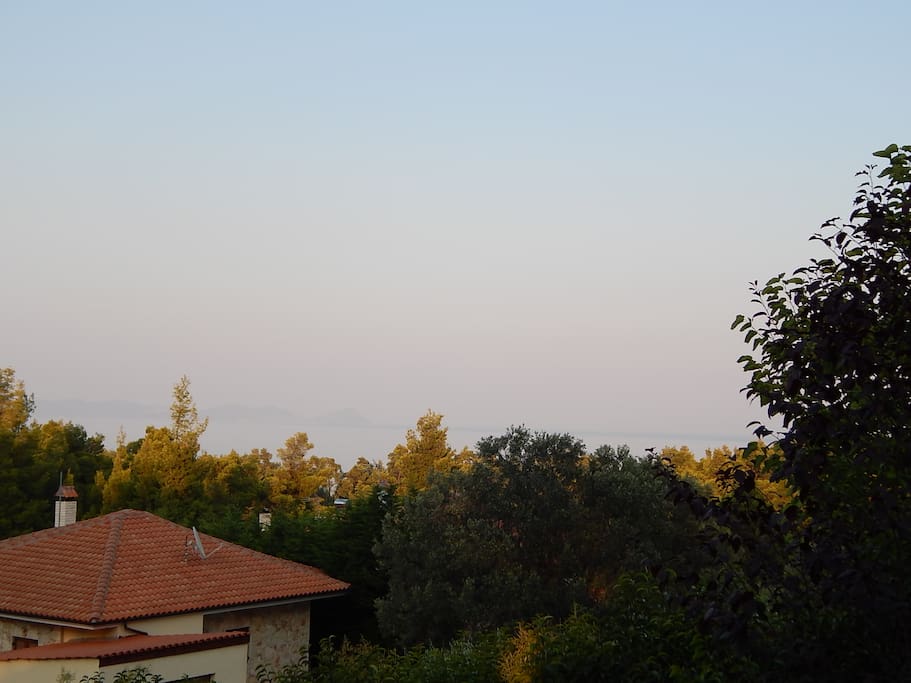 Sea view!