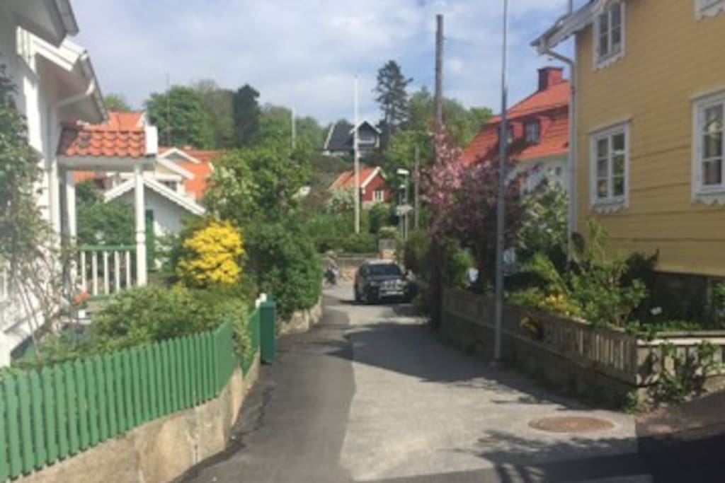Området och stugan i bakgrunden