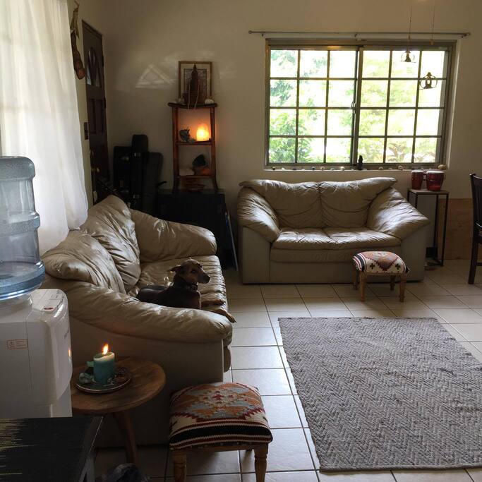 Quaint and bright shared living room