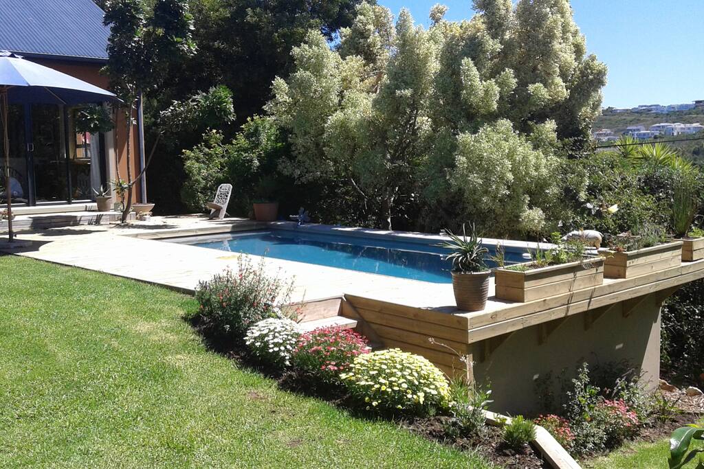Salt chlorinated swimming pool and lawned garden.