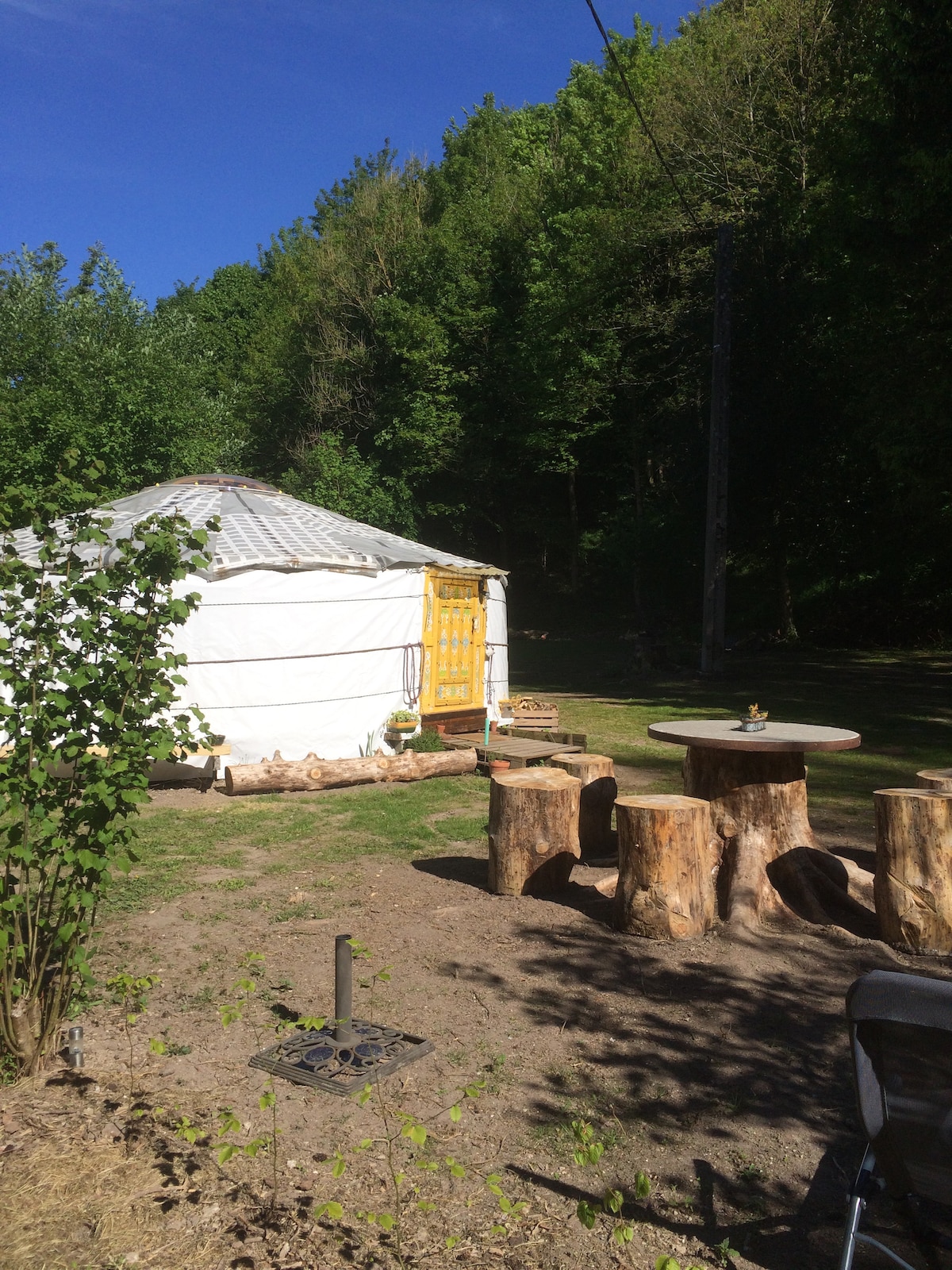 A cozy yurt is nestled among trees, featuring a yellow door that adds a pop of color. In the foreground, rustic stump tables surround a fire pit, creating a perfect gathering space. Lush greenery and a clear blue sky enhance the serene setting.