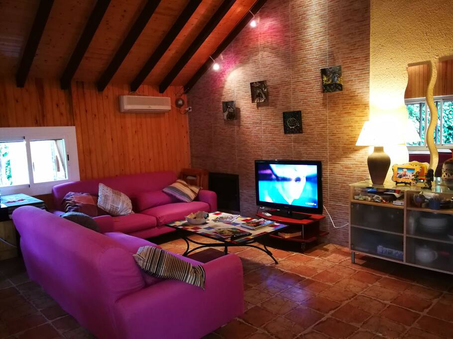 Two comfortable three-seat sofas.