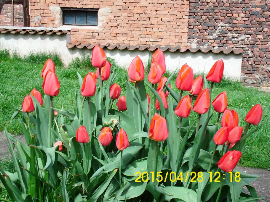 Garten