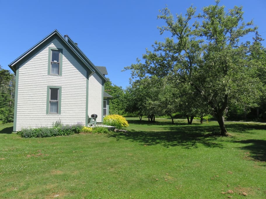 Plenty of room to run and play games on this large lawn