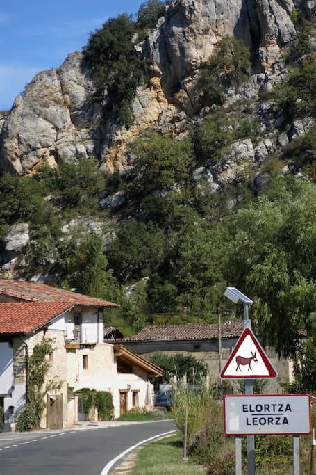 Leorza