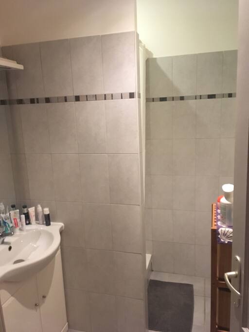 Salle de bain douche lavabo et wc