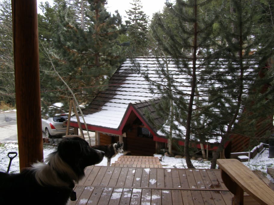 cabin lower front deck view straight out front door