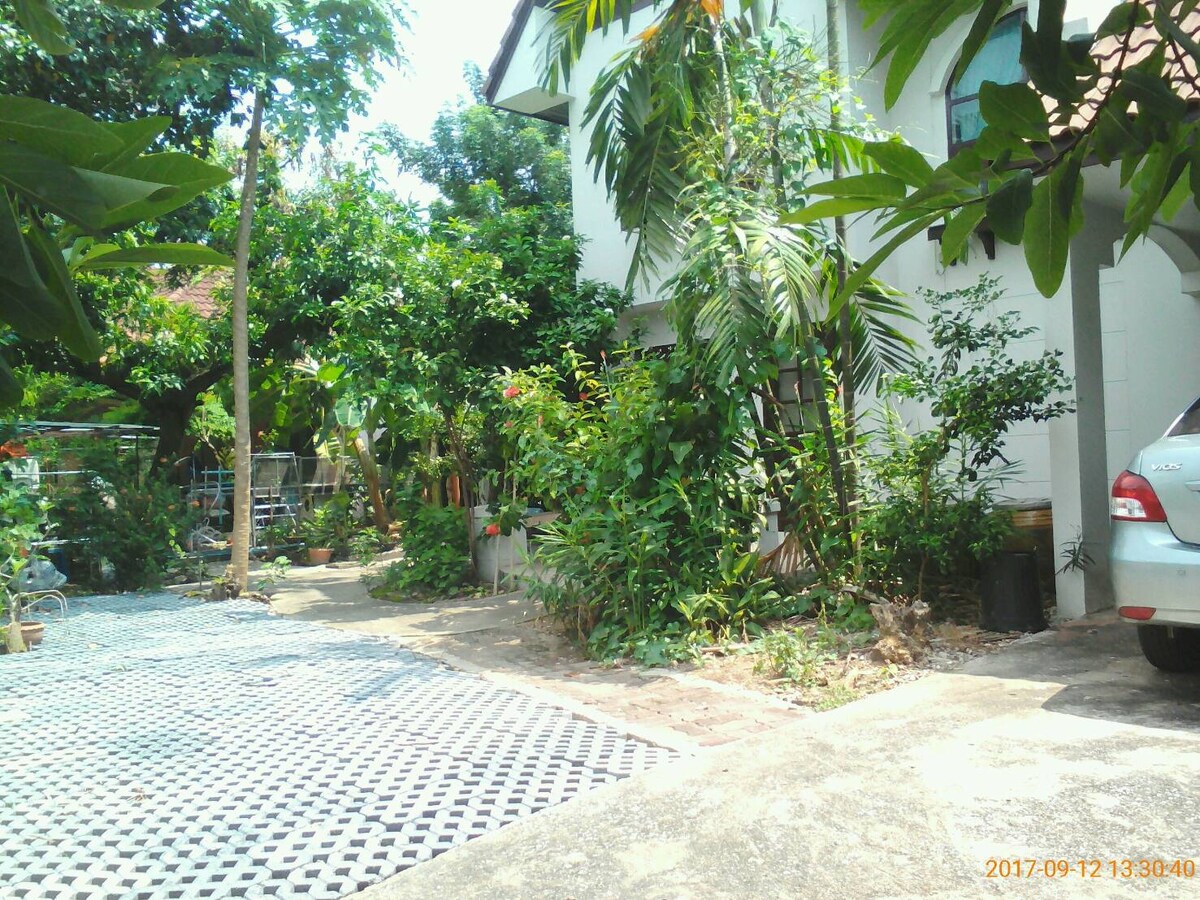 The image shows a vegetation-rich outdoor area featuring various plants and trees. A gravel parking space is visible, accommodating a vehicle. The house, partially obscured by foliage, presents a welcoming environment enhanced by natural sunlight filtering through the greenery.