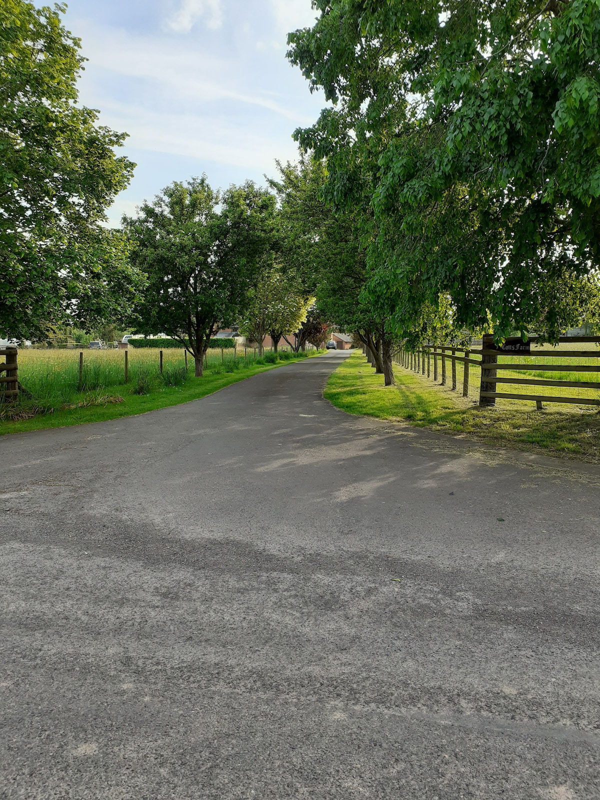 A tree-lined private drive leads towards a tranquil property. Lush greenery frames the scene, with evenly spaced trees providing shade along the road. The smooth path, bordered by a wooden fence, invites a sense of peaceful seclusion.