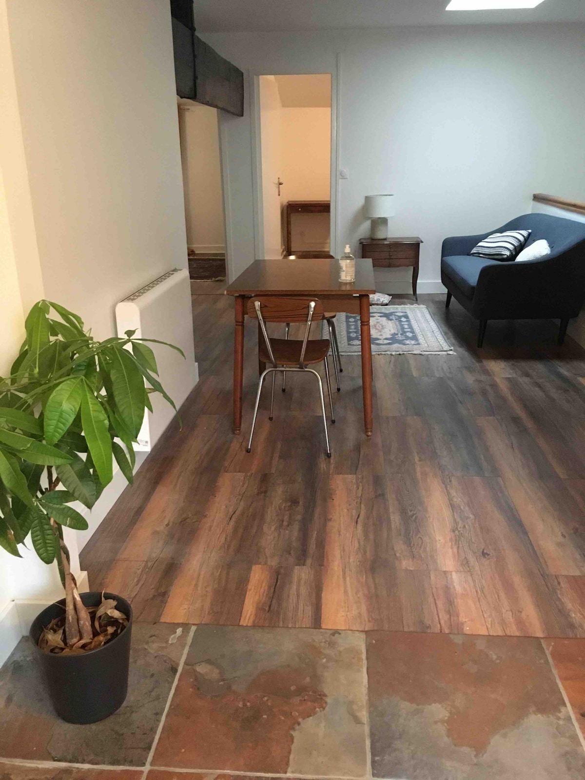 A light-filled room features a small wooden table accompanied by a transparent chair. A cozy blue sofa is positioned against the wall, with a decorative rug nearby. A potted plant adds a touch of greenery, while wood flooring enhances the warm ambiance.