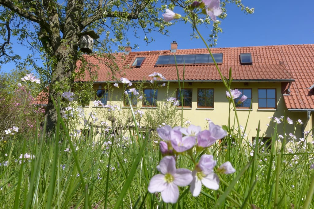 Frühling im Garten