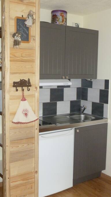 Kitchenette avec frigo, micro-ondes grill, plaques vitrocéramique, hotte.