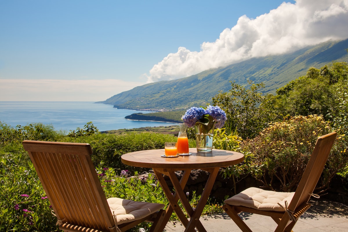 A small round table set for two features a vase of blue flowers and two glasses filled with orange juice. The view showcases a sweeping coastline under a clear blue sky, complemented by lush green mountains in the background.