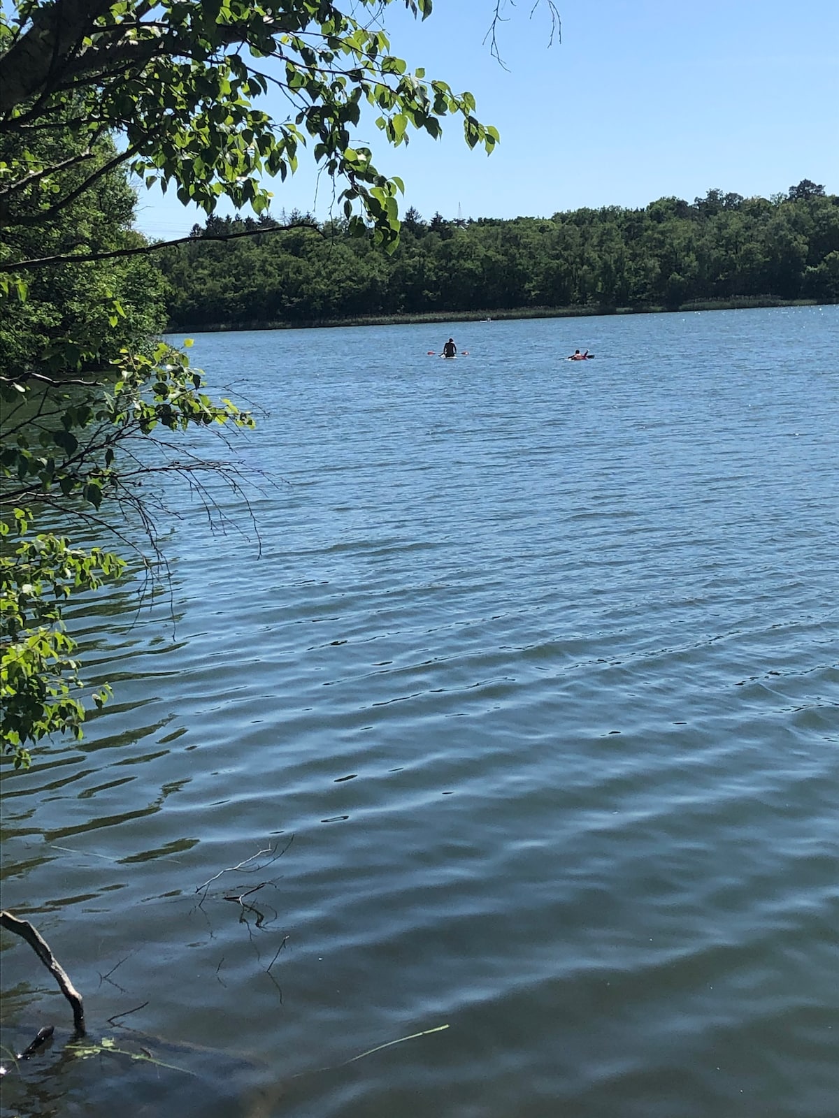 A serene lake surface reflects the clear blue sky and surrounding greenery. Two individuals can be seen enjoying the water, enhancing the tranquil atmosphere. Lush trees frame the scene, creating a natural border around the picturesque lake.