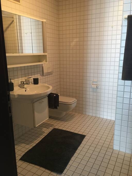 Bad mit Dusche und WC