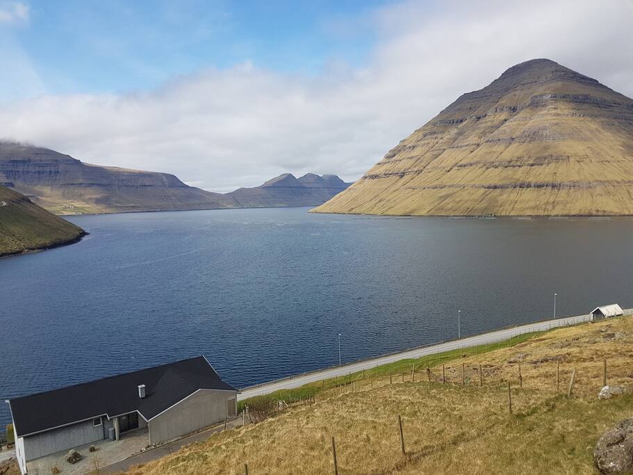 view