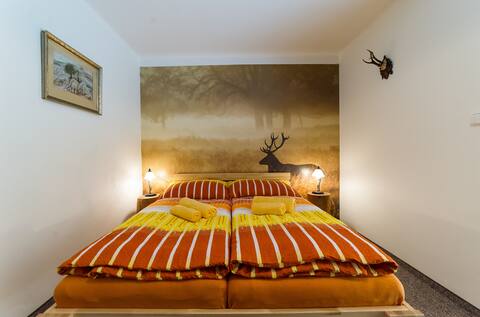 Penzion TOP Room Nr. 5 - Double room garden