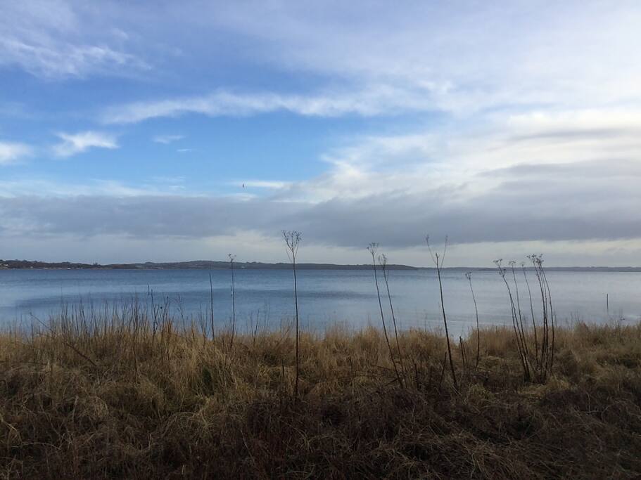 Flot kig til Mols fra stranden