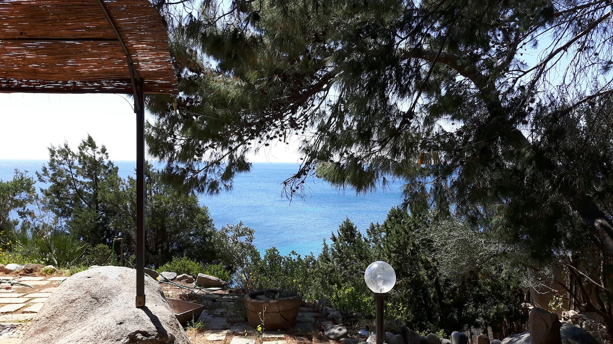 A shaded outdoor area features a pergola that overlooks the tranquil sea. Lush greenery and trees create a natural frame, enhancing the view of the blue water. A soft light fixture is positioned on the patio, complementing the serene surroundings.