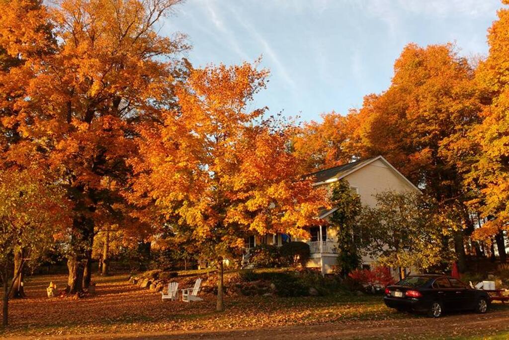 A glorious time of the year in our "neck of the woods"!