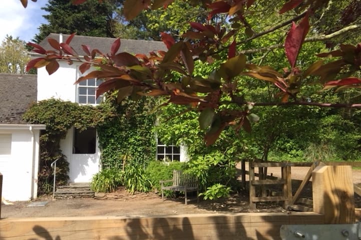 Lanzeague Cottage St Just In Roseland St Mawes Cottages For
