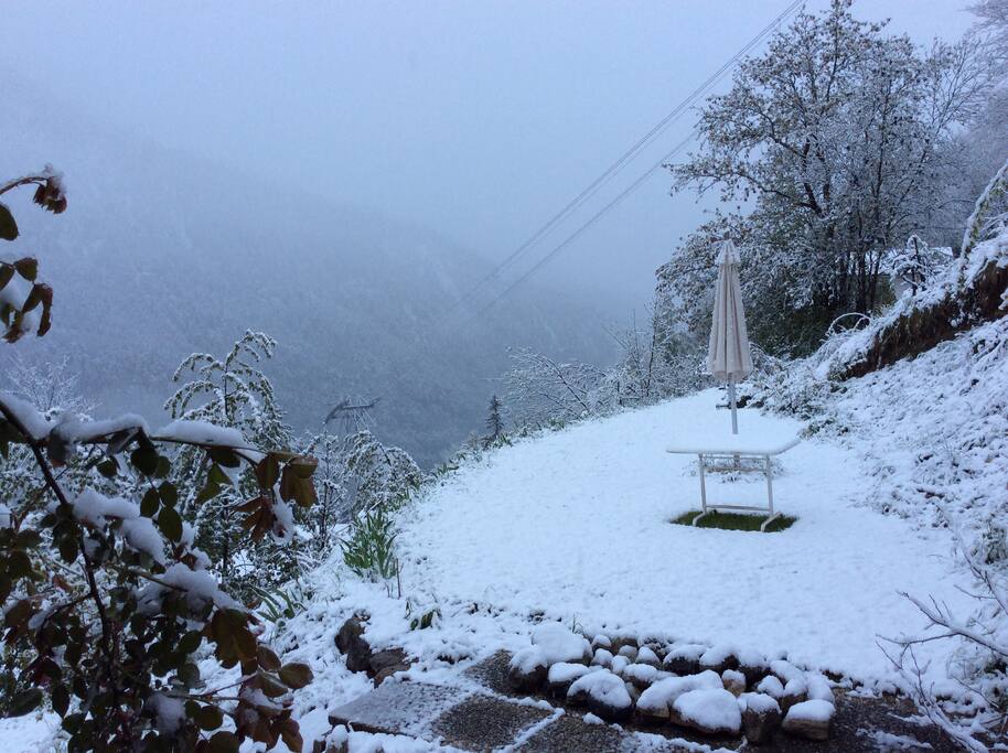 A sudden snowfall in late spring. The snow was melted by the next day