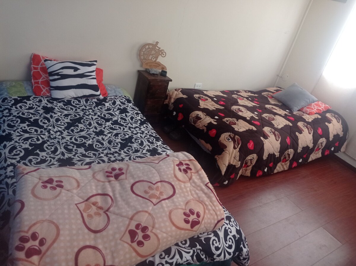 A cozy bedroom features two beds covered with patterned blankets. One bed displays a floral pattern, while the other is adorned with a whimsical motif. A small nightstand sits beside the beds, and natural light enters through a nearby window.