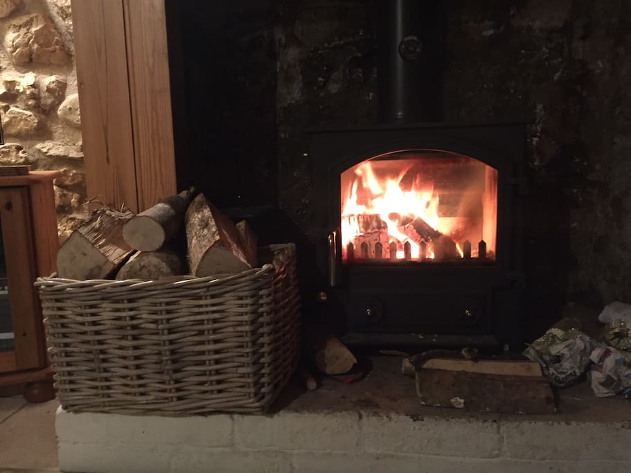 Fire stove with start pack logs in winter