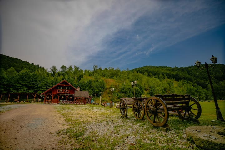 HANUL MORII: Nature, Camping, Sauna, Jacuzzi, Pool