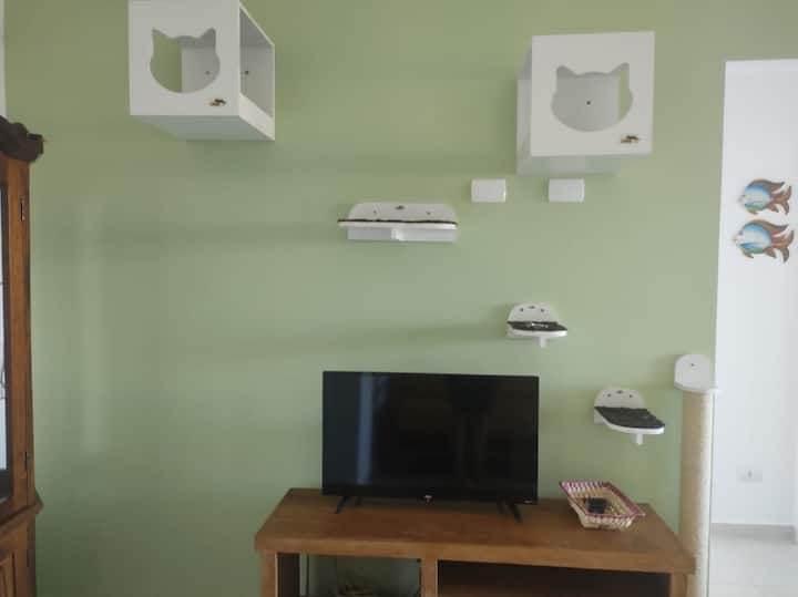 Მისაღები ოთახი მეზღვაური ატმოსფეროთი