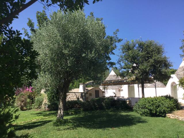 Beautiful “trulli” house in the south of Italy gallery image 4