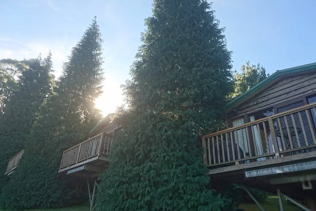 Private cabins