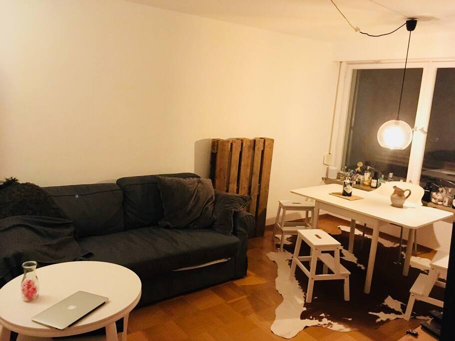 Wohnzimmer mit ausziehbarer Couch für 2 Personen