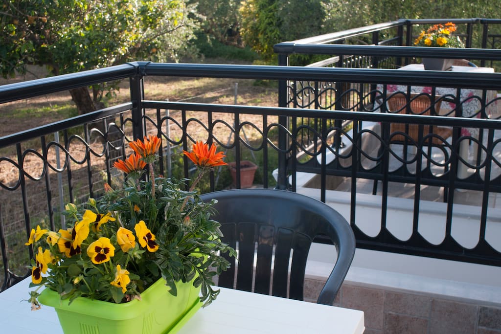 Beautiful quite balcony among olive trees