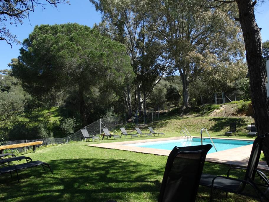 Entorno piscina
